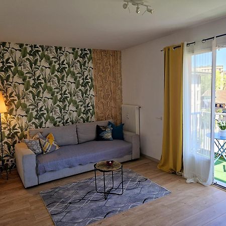 Paradise Apartment Near Downtown Lake & Free Parking - Local Bike 阿讷西 外观 照片