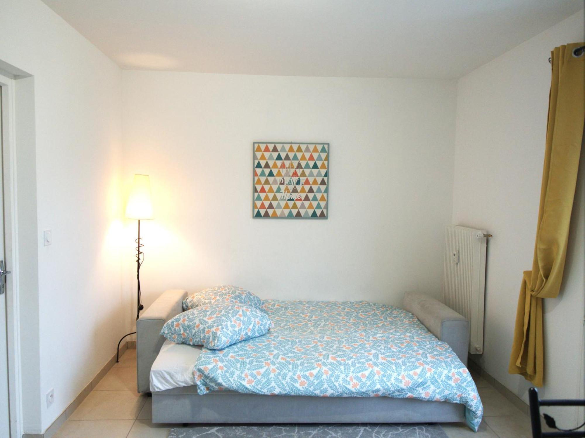 Paradise Apartment Near Downtown Lake & Free Parking - Local Bike 阿讷西 外观 照片