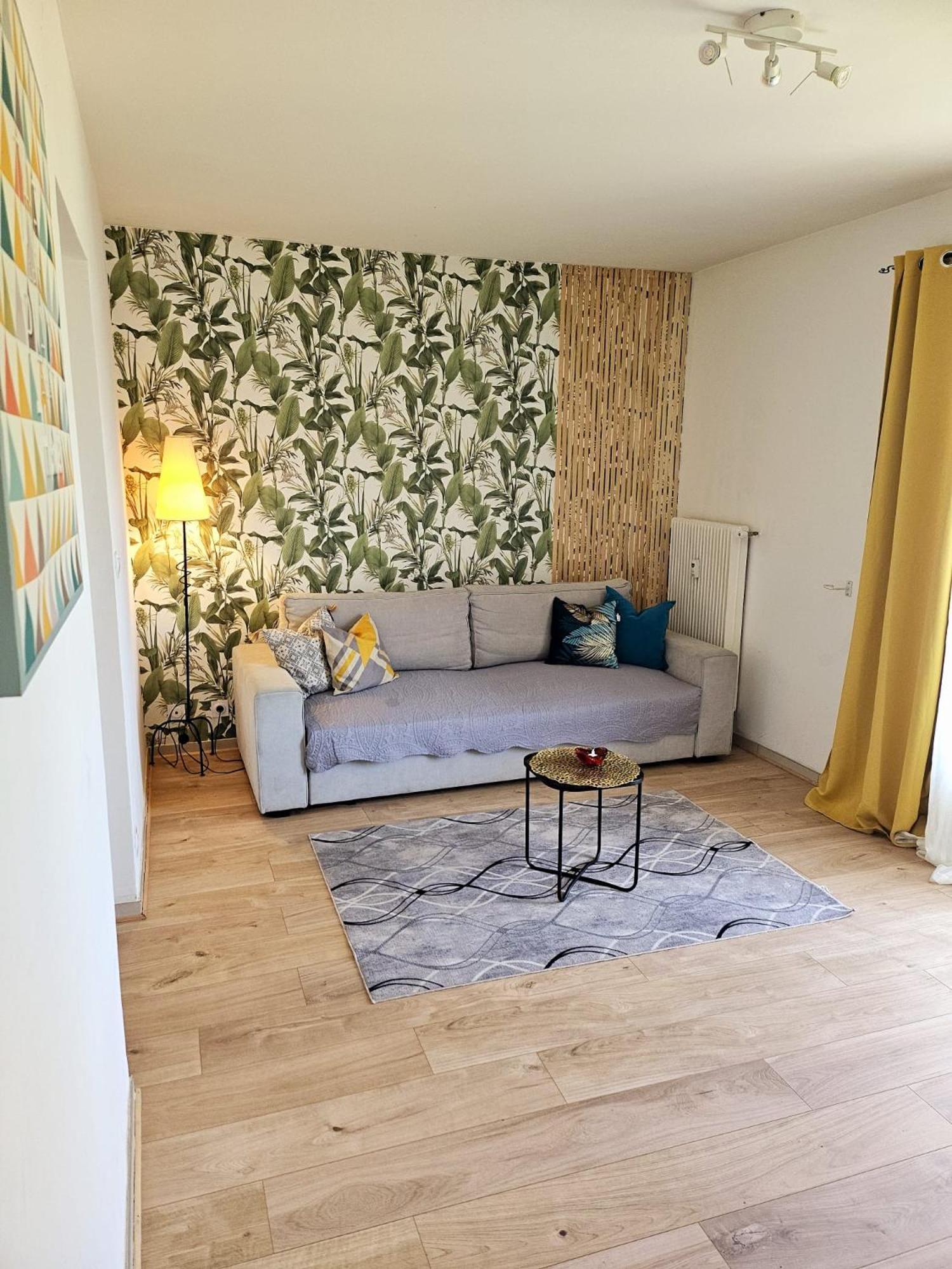 Paradise Apartment Near Downtown Lake & Free Parking - Local Bike 阿讷西 外观 照片
